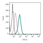 kappa-Opioid Receptor (OPRK1) (extracellular) Antibody in Flow Cytometry (Flow)