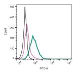Piezo1 (extracellular) Antibody in Flow Cytometry (Flow)