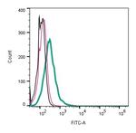 Piezo1 (extracellular) Antibody in Flow Cytometry (Flow)