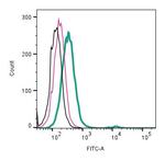 TMEM150C/Tentonin 3 (extracellular) Antibody in Flow Cytometry (Flow)