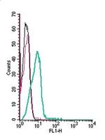 KV1.5 (KCNA5) (extracellular) Antibody in Flow Cytometry (Flow)