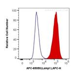 CD107a/LAMP1 Antibody in Flow Cytometry (Flow)