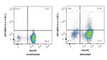 IL-4 Antibody in Flow Cytometry (Flow)