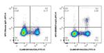 Foxp3 Antibody in Flow Cytometry (Flow)