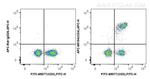 CD4 Antibody in Flow Cytometry (Flow)