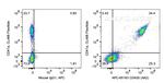 CD42b Antibody in Flow Cytometry (Flow)