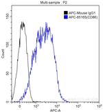 CD86 Antibody in Flow Cytometry (Flow)