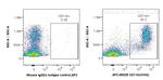 CD11b Antibody in Flow Cytometry (Flow)