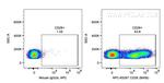 CD26 Antibody in Flow Cytometry (Flow)