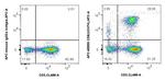 CD8 Antibody in Flow Cytometry (Flow)
