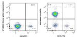 CD3 Antibody in Flow Cytometry (Flow)