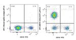 CD3 Antibody in Flow Cytometry (Flow)