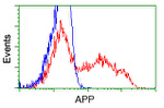 APP Antibody in Flow Cytometry (Flow)