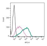 P2Y12 Receptor (extracellular) Antibody in Flow Cytometry (Flow)