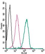 P2X4 Receptor (extracellular) Antibody in Flow Cytometry (Flow)