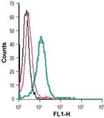 P2X4 Receptor (extracellular) Antibody in Flow Cytometry (Flow)