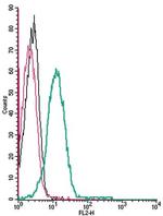 P2X4 Receptor (extracellular) Antibody in Flow Cytometry (Flow)