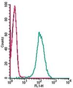 PAR2/F2RL1 (extracellular) Antibody in Flow Cytometry (Flow)