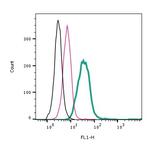 PAR2/F2RL1 (extracellular) Antibody in Flow Cytometry (Flow)