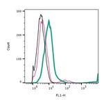 PAR2/F2RL1 (extracellular) Antibody in Flow Cytometry (Flow)
