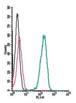 Prokineticin Receptor 2 (extracellular) Antibody in Flow Cytometry (Flow)