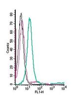 Prostacyclin Receptor (PTGIR) (extracellular) Antibody in Flow Cytometry (Flow)
