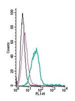 Prostacyclin Receptor (PTGIR) (extracellular) Antibody in Flow Cytometry (Flow)