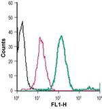 Plexin-A1 (extracellular) Polyclonal Antibody, FITC