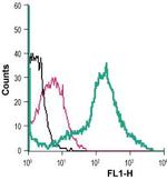 Plexin-A1 (extracellular) Antibody in Flow Cytometry (Flow)