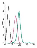 Plexin-C1 (extracellular) Antibody in Flow Cytometry (Flow)