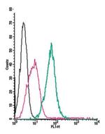 Plexin-C1 (extracellular) Antibody in Flow Cytometry (Flow)