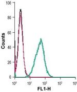 P2Y6 Receptor (extracellular) Antibody in Flow Cytometry (Flow)