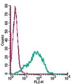 P2Y6 Receptor (extracellular) Antibody in Flow Cytometry (Flow)