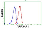 ARFGAP1 Antibody in Flow Cytometry (Flow)