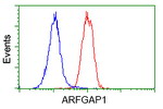 ARFGAP1 Antibody in Flow Cytometry (Flow)