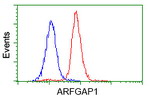 ARFGAP1 Antibody in Flow Cytometry (Flow)