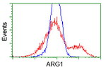 ARG1 Antibody in Flow Cytometry (Flow)