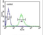 ARHGAP17 Antibody in Flow Cytometry (Flow)