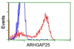 ARHGAP25 Antibody in Flow Cytometry (Flow)