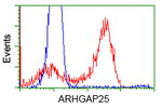ARHGAP25 Antibody in Flow Cytometry (Flow)
