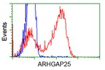 ARHGAP25 Antibody in Flow Cytometry (Flow)