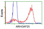 ARHGAP25 Antibody in Flow Cytometry (Flow)