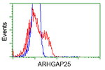 ARHGAP25 Antibody in Flow Cytometry (Flow)
