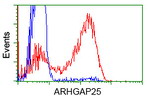 ARHGAP25 Antibody in Flow Cytometry (Flow)