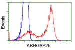 ARHGAP25 Antibody in Flow Cytometry (Flow)