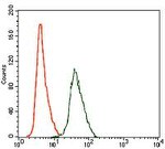 RhoGDI Antibody in Flow Cytometry (Flow)
