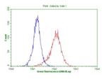 ARHGEF2 Antibody in Flow Cytometry (Flow)