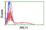 ARL11 Antibody in Flow Cytometry (Flow)
