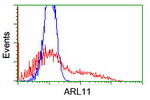 ARL11 Antibody in Flow Cytometry (Flow)