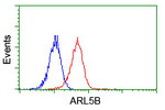 ARL5B Antibody in Flow Cytometry (Flow)